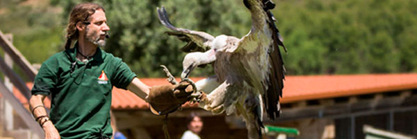 Caretaker with vulture perching on his arm.