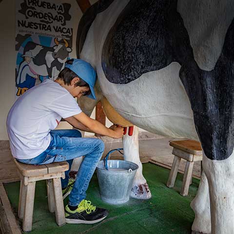 Garçon commandant une vache mécanique de l'attraction La vache et le fermier.