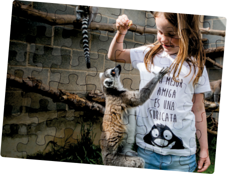 PNG de un Puzle de Sendaviva con la imagen de una niña con un lémur.