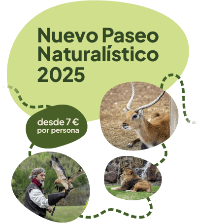 PASEO NATURAÍSTICO VERANO SENDAVIVA