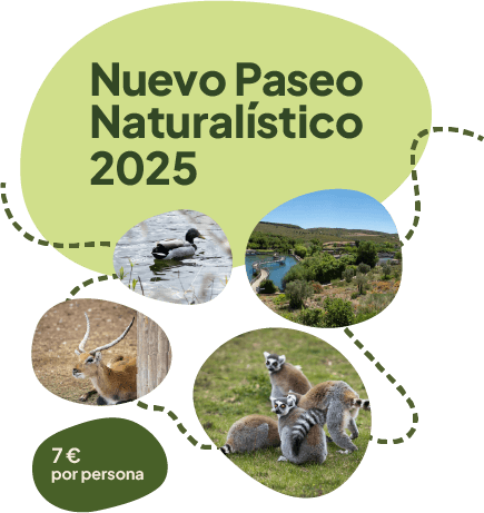PASEOS NATURALISTICOS VERANO 2025 SENDAVIVA