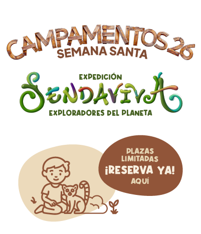 CAMPAMENTOS VERANO 2025 SENDAVIVA