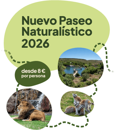 CAMPAMENTOS VERANO 2025 SENDAVIVA